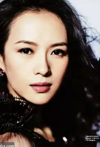 章子怡电影合集11部