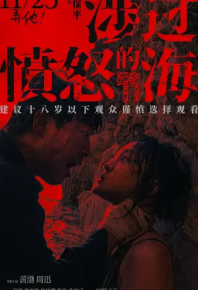 涉过愤怒的海 (2023)