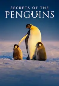 企鹅之谜 Secrets of the Penguins (2025)