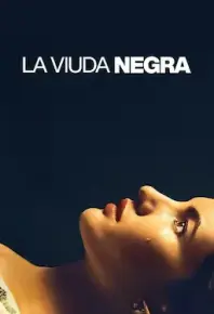 寡妇游戏 La viuda negra (2025)